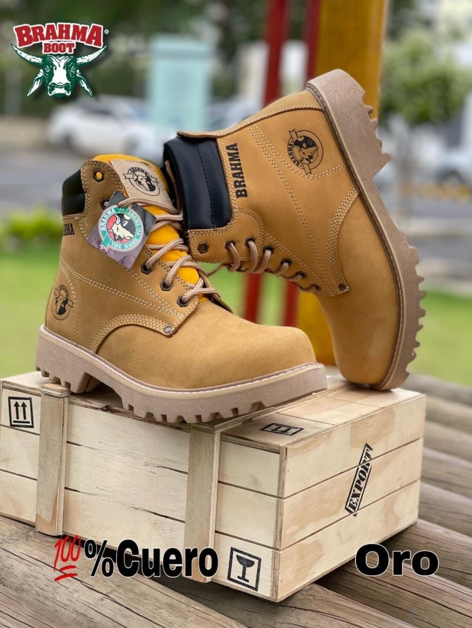 BOTA BRAHMA CLASICA CUERO + CAJA | CUERO GENUINO DE ALTA CALIDAD
