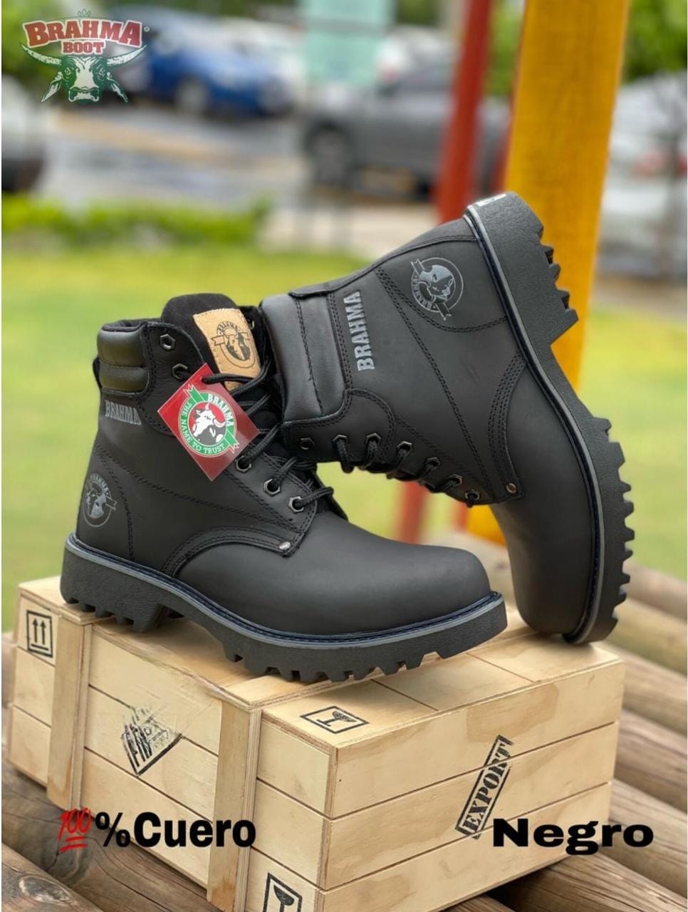 BOTA BRAHMA CLASICA CUERO + CAJA | CUERO GENUINO DE ALTA CALIDAD